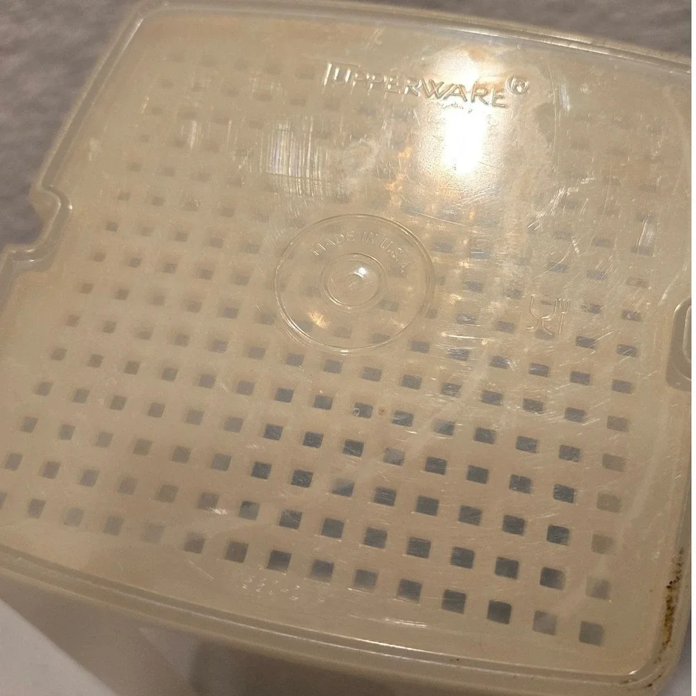 Vintage Tupperware Pick-A-Deli Pickle Lifter Container Blue 1560-2 Sheer White